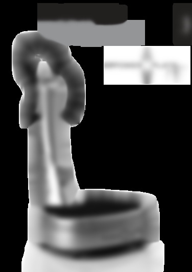 pro 5