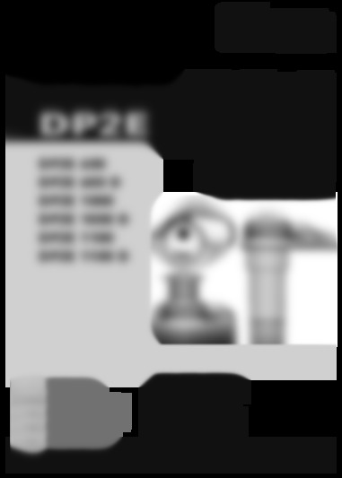 DP2E