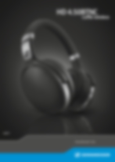 HD 450BT