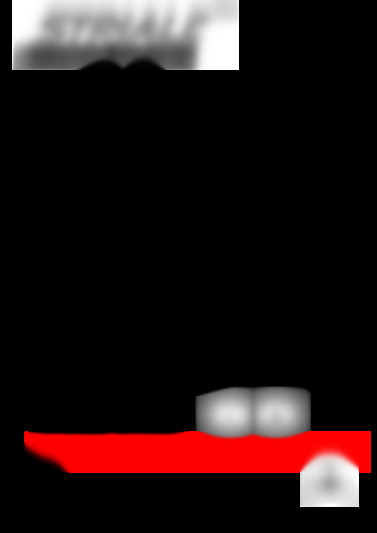VPS-300