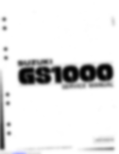 Gs 1000 E