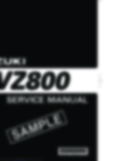 VZ800 en