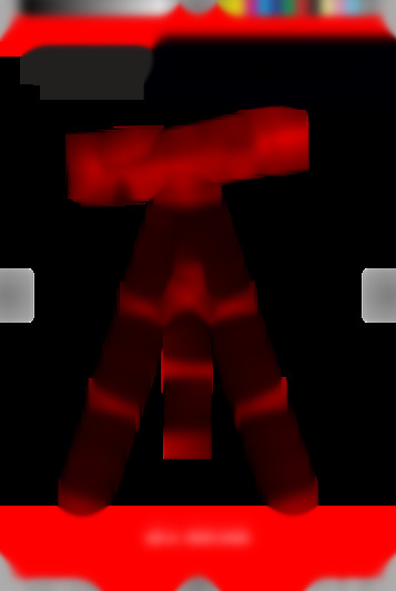 302058