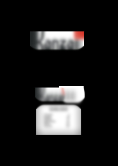 sre 3002