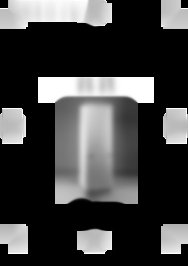 NF 350