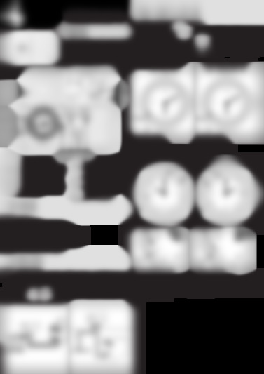 TS