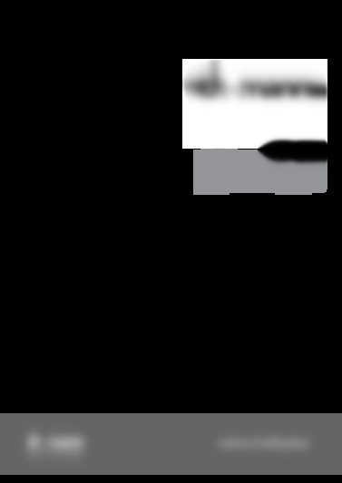 DP-26