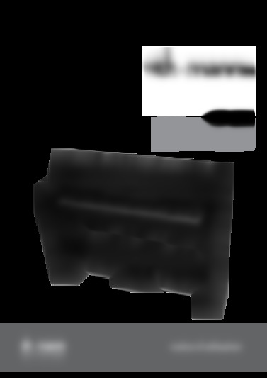 dp-33