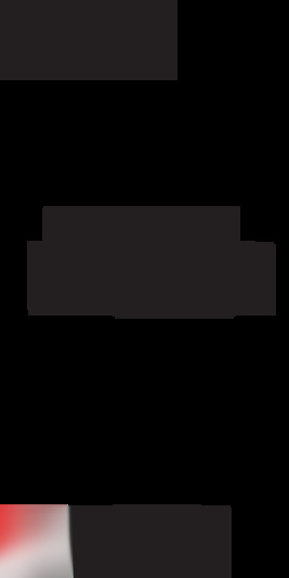 A11