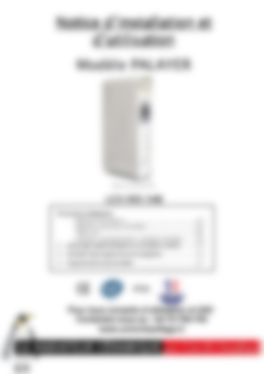 palayer 2000w