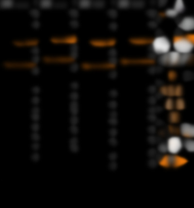 A8