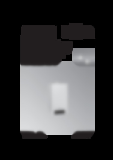 viessman-333-W