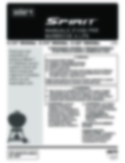 Spirit-E 320 original W GBS